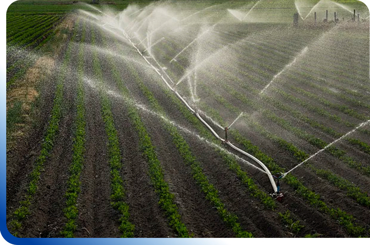 Agriculture And Rural Areas