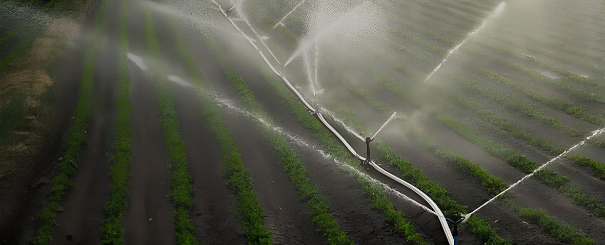 Agriculture And Rural Areas